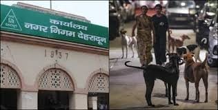देहरादून में लोगों को स्ट्रीट डॉग से मिलेगी निजात, एग्रेसिव व्यवहार मिला तो भेजा जाएगा डॉग शेल्टर सेंटर