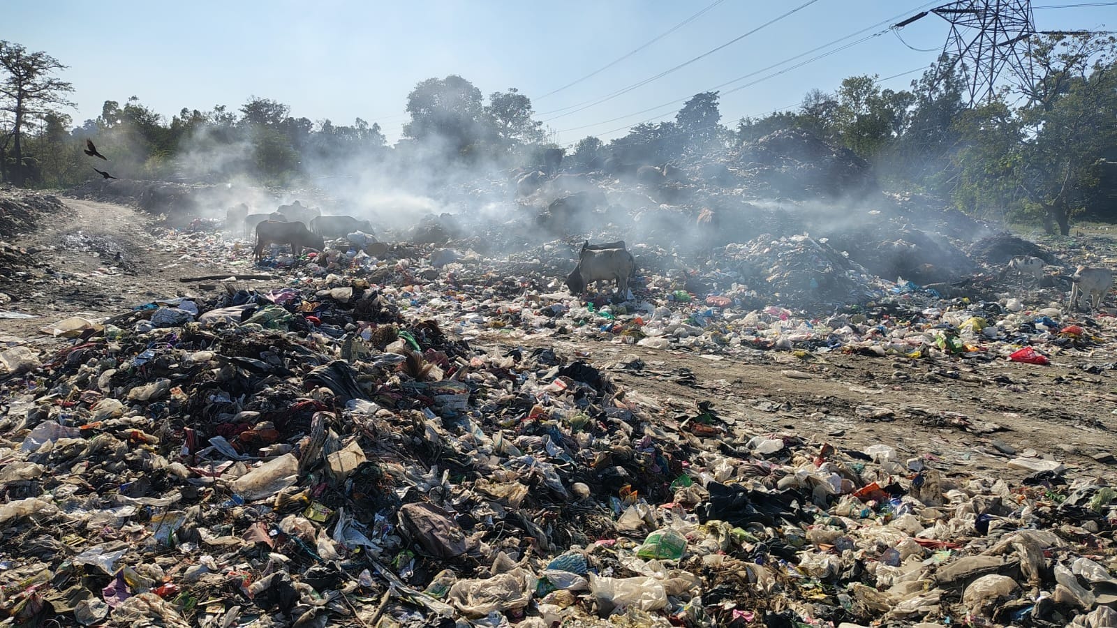 सीएम धामी के ड्रीम प्रोजेक्ट का नगर पालिका उड़ा रही मखौल, शारदा नदी किनारे बना कूड़ा डंपिंग जोन